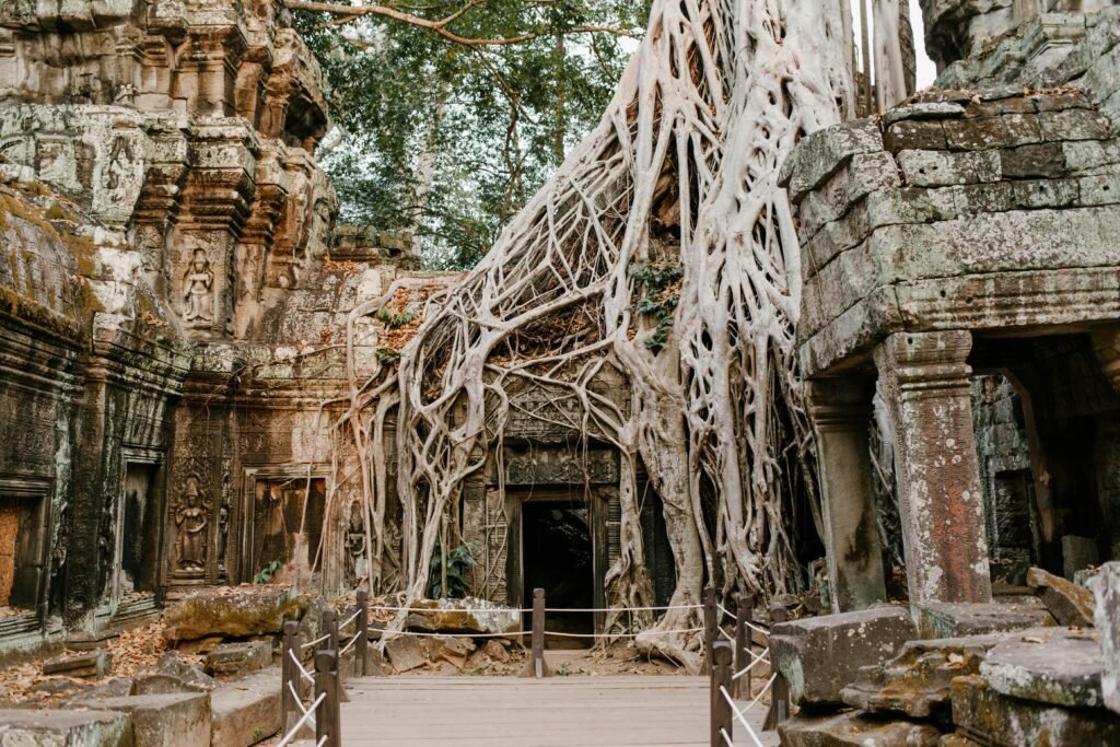 Ancient Ta Prohm temple ruins entangled with tree roots in Angkor, Cambodia, showcasing historical beauty.